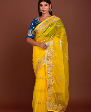 ORGANZA SAREE SILK BLOUSE