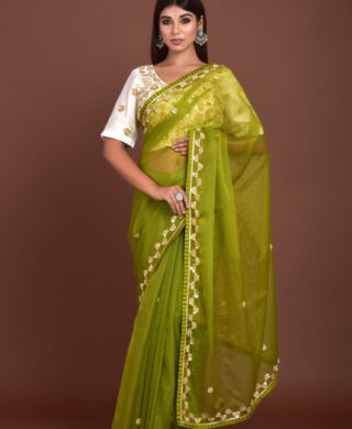 ORGANZA SAREE SILK BLOUSE