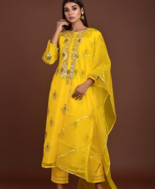 ORGANZA KURTA WITH SILK PANT SET