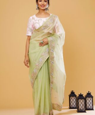 ORGANZA SAREE WITH SILK BLOUSE