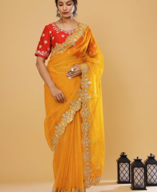 ORGANZA SAREE WITH SILK BLOUSE