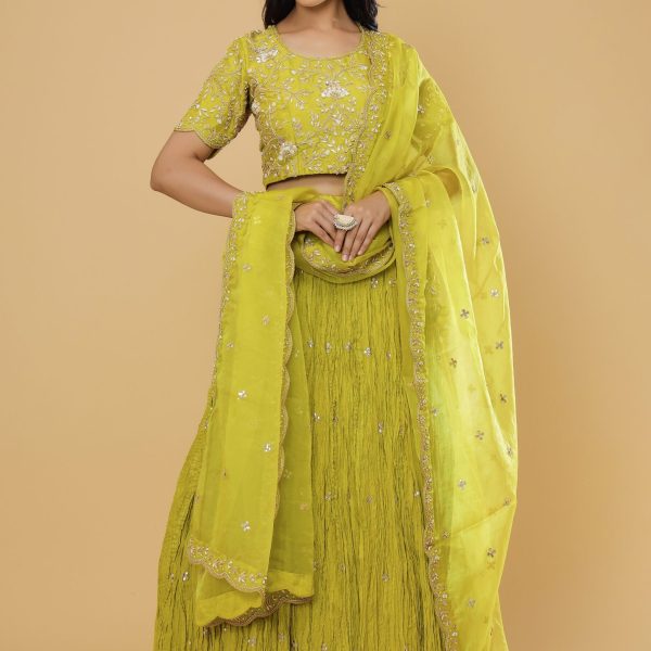 CRUSH LEHNGA WITH DUPATTA AND HEAVY BLOUSE