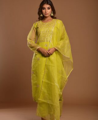ORGANZA KURTA WITH SILK PANT SET
