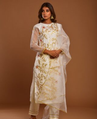 ORGANZA KURTA WITH SILK PANT SET