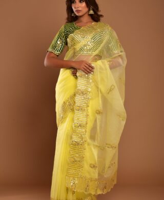 ORGANZA SAREE SILK BLOUSE