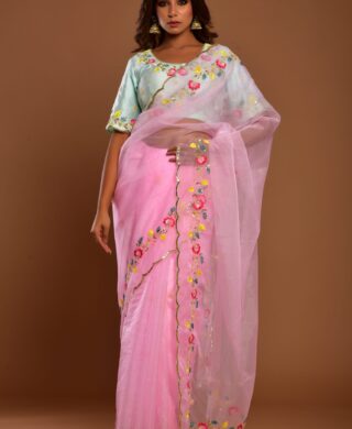 ORGANZA SAREE SILK BLOUSE