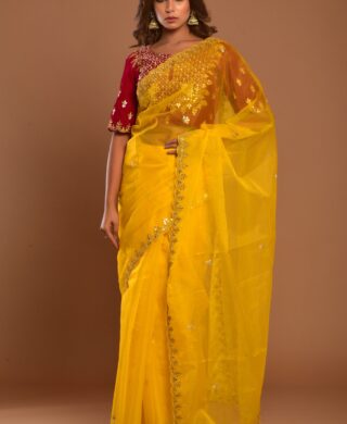 ORGANZA SAREE VELVET BLOUSE